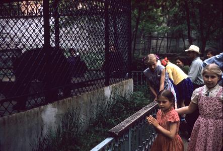 Children at the zoo