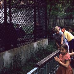 Children at the zoo