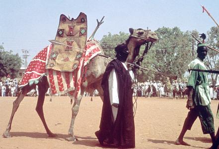 Emir's Camel at Big Sallah Celebration