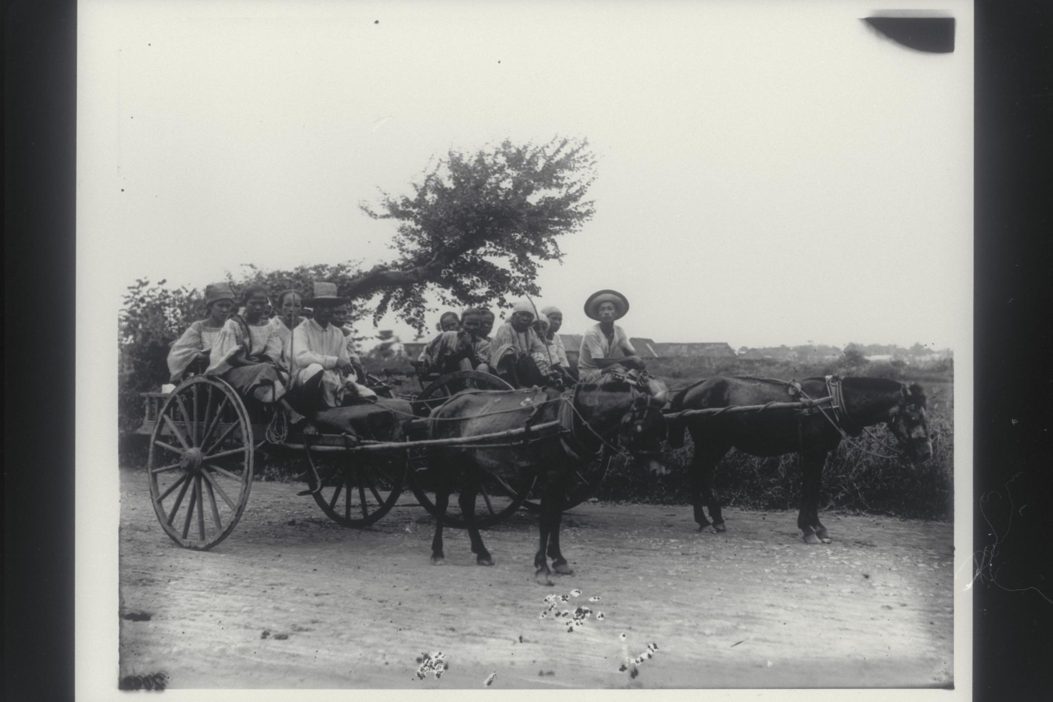 Peasants traveling in bull carts, Manila, early 1900s