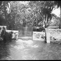 Canal in . . . Jamaica