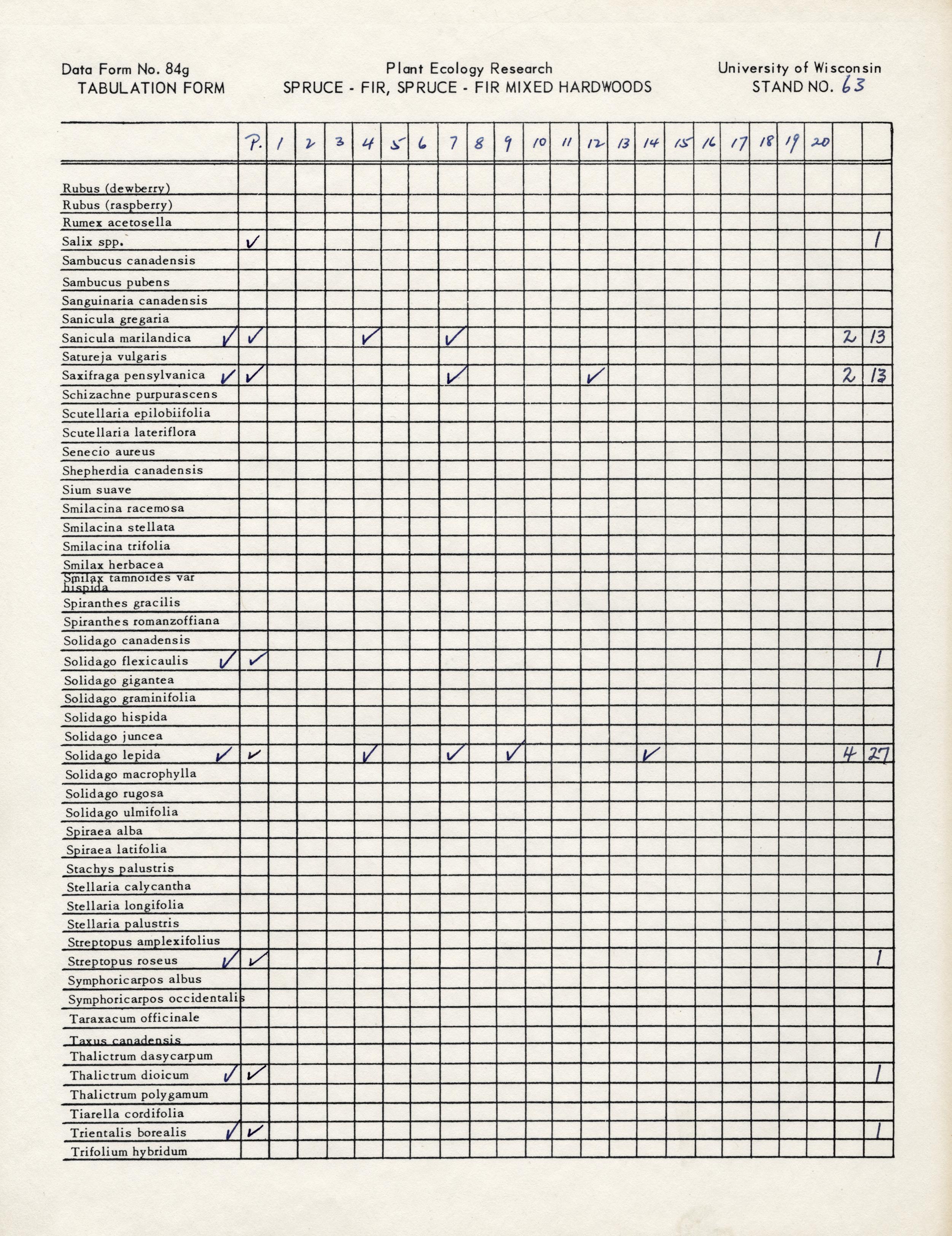 Site 6063 (Boreal Stand 63) Pattison State Park, Douglas County