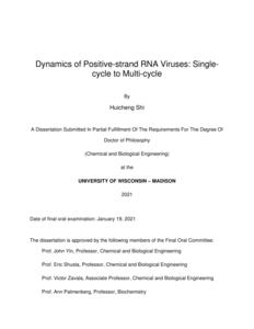 Dynamics of Positive-strand RNA Viruses: Single-cycle to Multi-cycle