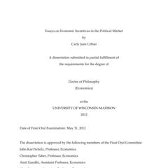 Essays on Economic Incentives in the Political Market