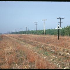 RR prairie and pines near Lone Rock