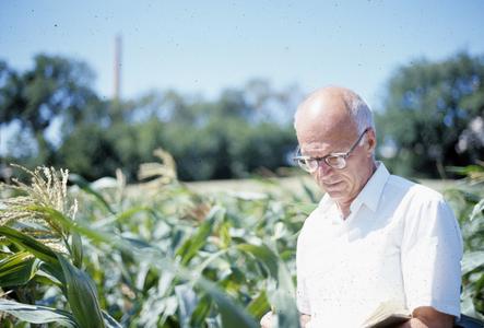 Robert Andrew in a cornfield