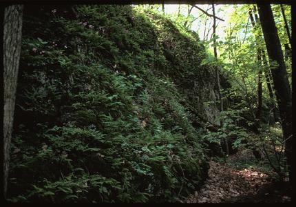 Shaded cliffs, Wyalusing State Park