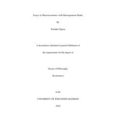 Essays in Macroeconomics with Heterogeneous Banks
