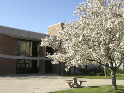 Lower entrance of Northview Hall in spring