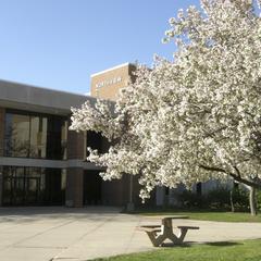 Lower entrance of Northview Hall in spring