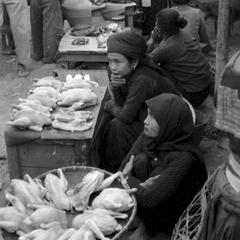 Tribal women selling dressed chickens (Akha)