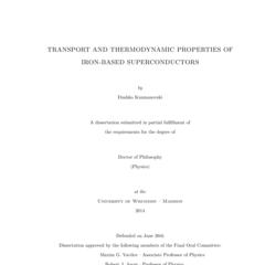 Transport and Thermodynamic Properties of Iron-based Superconductors