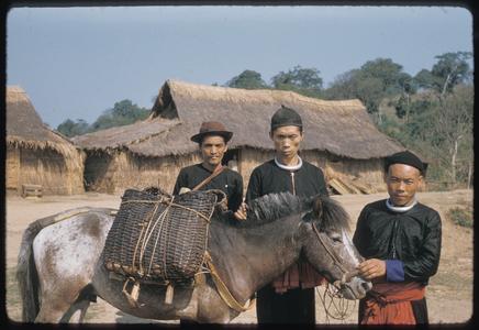 Hmong (Meo) with ponies