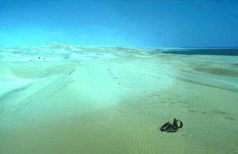 Namib Desert Sand Dunes