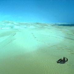 Namib Desert Sand Dunes