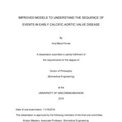 Improved models to understand the sequence of events in early calcific aortic valve disease