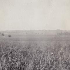 Field near Waukesha