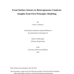 From Surface Science to Heterogeneous Catalysis: Insights from First Principles Modeling