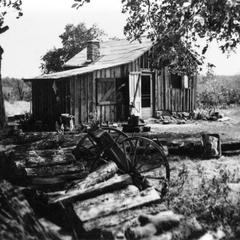 The Leopold Shack, Sauk County, Wisconsin, ca. 1936 (summer shot, framed by trees, woodpile in foreground)