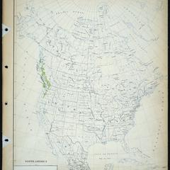Chamaecyparis nortkatensis (Lambert) Sudworth - Alaska cedar