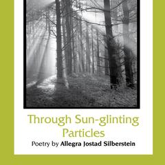 Through sun-glinting particles : poetry