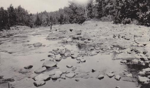Dickinson in Amnicon River