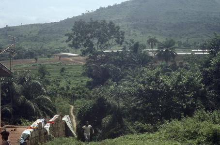 Farm in Ilesa