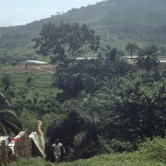 Farm in Ilesa