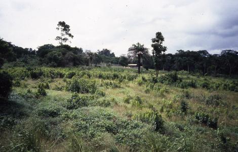 Outskirts Ilesa Far
