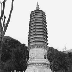 Lingguang Ta (Lingguang Pagoda) 靈光塔.