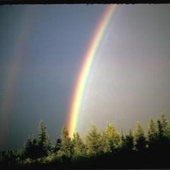 Rainbow and northern forest, near Lake Superior