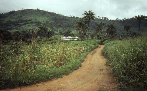 Road through farm outside of Ilesa