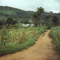 Road through farm outside of Ilesa