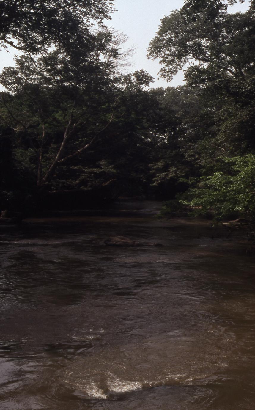 Osun River