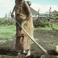 Southern Africa : Agricultural Activities : hoeing