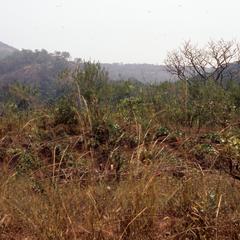 Vegetation and hills near Abuja