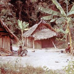 Temporary Houses Near Rice Fields