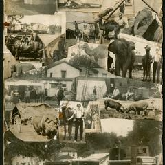 Collage of photographs of circus acts, circus tents, and circus vehicles