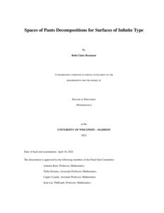 Spaces of Pants Decompositions for Surfaces of Infinite Type