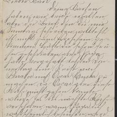 [Letter from Hanna Sternberger to her brother Karl Sternberger, July 31, 1885]