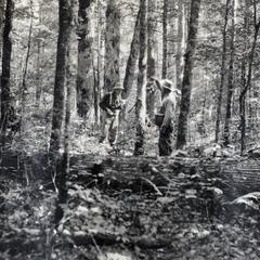 Tom Broderick reading compass in hardwood forest