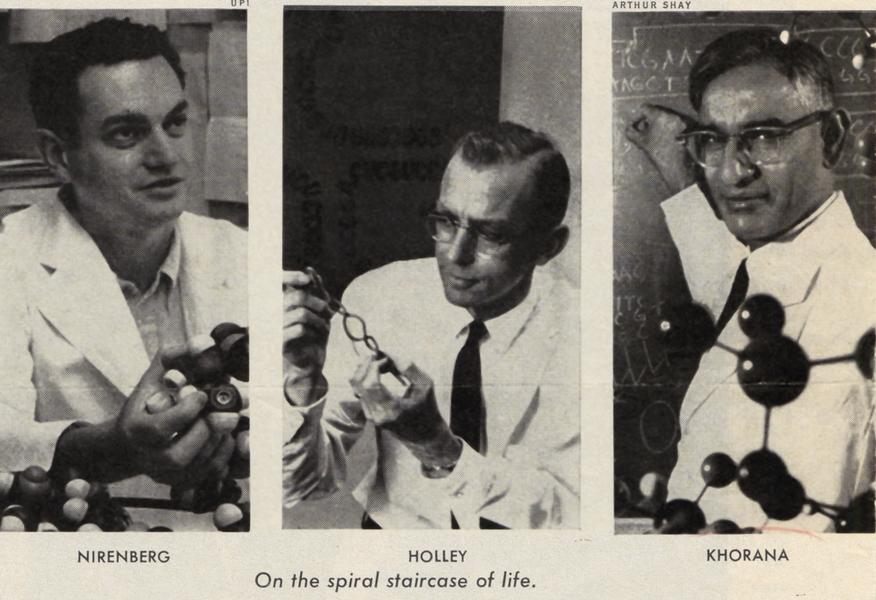 1968年　Conduct and Conscience　J.Aronfreed Amazon.com: The Holocaust and the Crisis of Human Behavior