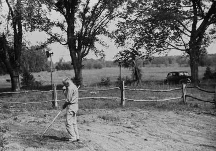 Aldo raking the garden near the Shack, car on road in background, ca. 1945