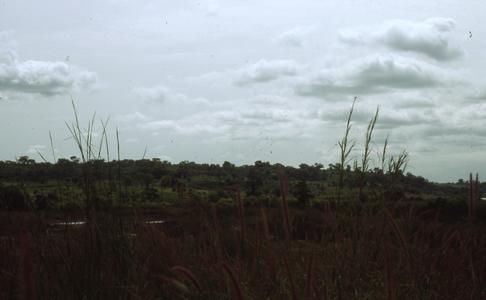 Farm of Eastern Nigeria