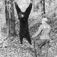 Bear hunting