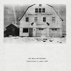 Brillion Hatchery history
