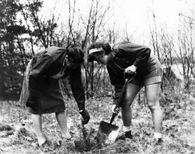 Estella and Estella Leopold Jr. planting pines