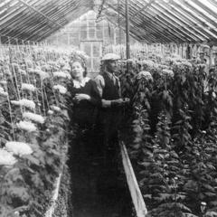 Riverside Florist Greenhouse. Rochester, Wisconsin