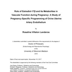 Role of Estradiol-17β and its Metabolites in Vascular Function during Pregnancy: A Study of Pregnancy-Specific Programming of Ovine Uterine Artery Endothelium