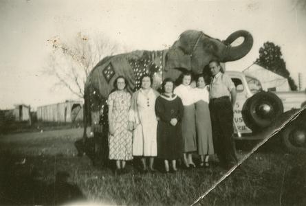 Circus elephant with people